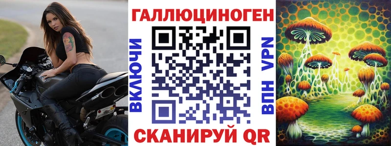 Псилоцибиновые грибы GOLDEN TEACHER mega как войти Вихоревка как найти закладки